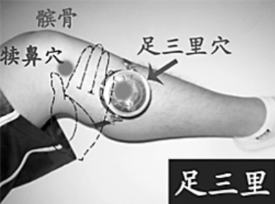 中醫拔罐<a href=http://www.daocaipu.com/yangsheng/ target=_blank class=infotextkey>養生</a> 九大常用穴位