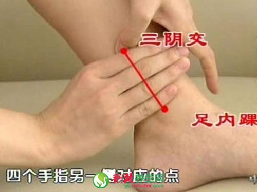 中醫拔罐<a href=http://www.daocaipu.com/yangsheng/ target=_blank class=infotextkey>養生</a> 九大常用穴位