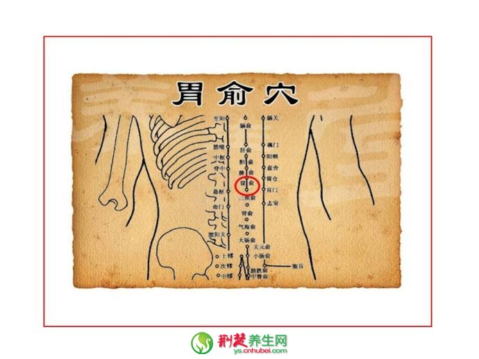 中醫拔罐<a href=http://www.daocaipu.com/yangsheng/ target=_blank class=infotextkey>養生</a> 九大常用穴位