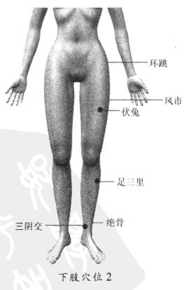 8大穴位<a href=http://www.daocaipu.com/yangsheng/ target=_blank class=infotextkey>養生</a> 中醫拔罐治病的方法