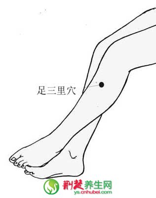 艾灸<a href=http://www.daocaipu.com/yangsheng/ target=_blank class=infotextkey>養生</a>的魅力