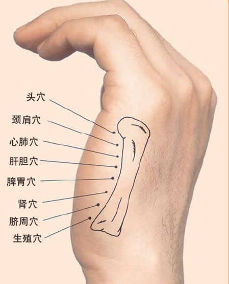 經絡<a href=http://www.daocaipu.com/yangsheng/ target=_blank class=infotextkey>養生</a> 手指經絡預知身體的健康