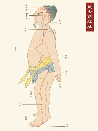 排毒經絡 足少陽膽經是排解積鬱的通道