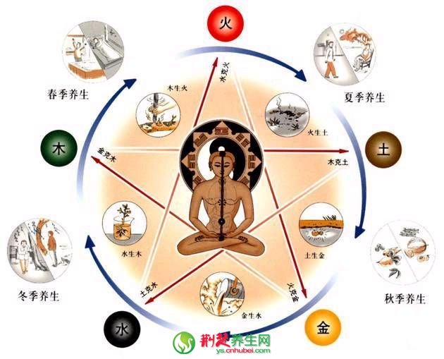中醫「五行」體質<a href=http://www.daocaipu.com/yangsheng/ target=_blank class=infotextkey>養生</a>之道詳解