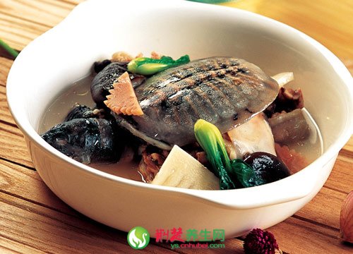 陰虛體質須吃補氣食物 6種體質人對症進補