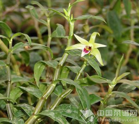 八大中藥材堪稱“八大仙草”