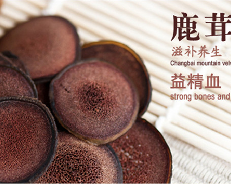 秋冬進補中藥 妙用鹿茸調理身體