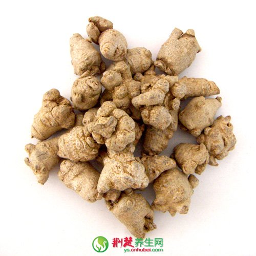 三七花的保健作用 三七花的5大妙用
