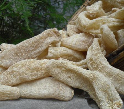 天麻素的功效與作用