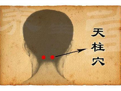 女性養陰補腎 常按8大穴位