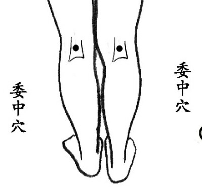 女性養陰補腎 常按8大穴位