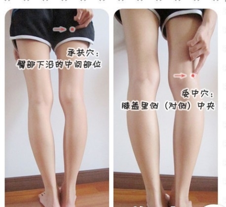 女性養陰補腎 常按8大穴位