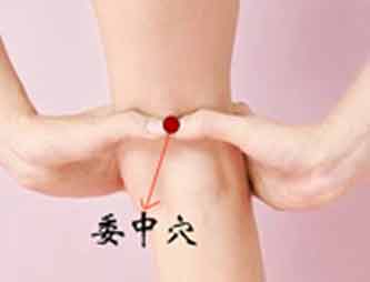一生最該記住的<a href=http://www.daocaipu.com/yangsheng/ target=_blank class=infotextkey>養生</a>保健七個穴位