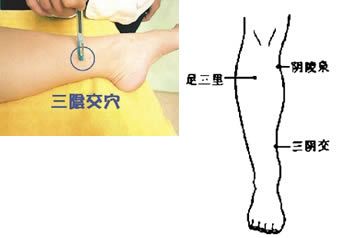 <a href=http://www.daocaipu.com/yangsheng/ target=_blank class=infotextkey>養生</a>秘訣 常按5穴位等於吃補藥