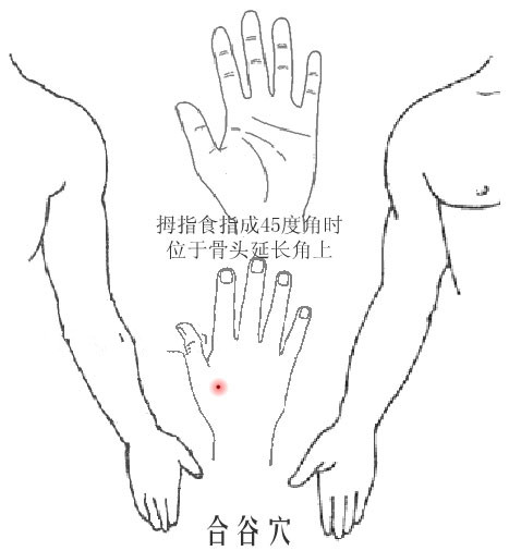 人體穴位高清圖及詳細按摩手法