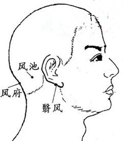 上班族常按這6大<a href=http://www.daocaipu.com/yangsheng/ target=_blank class=infotextkey>養生</a>穴位 防治職業病