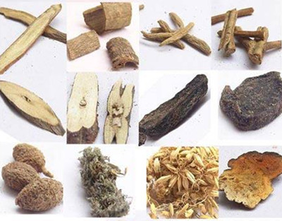 中藥的注意事項 十五種不當使用方法