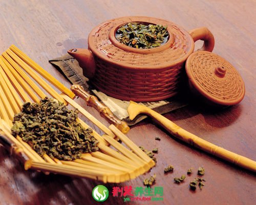 六款中藥減肥茶配方 消脂減重排毒