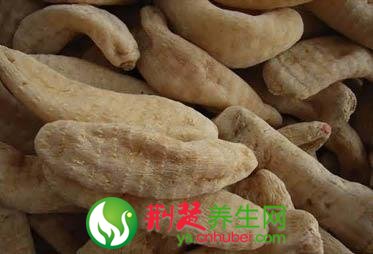 中醫天麻使用禁忌