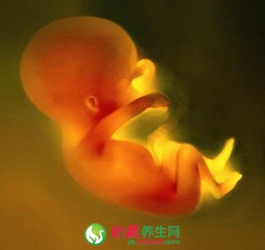 名醫徐之方的逐月養胎法
