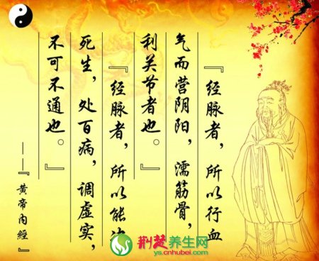 中國傳統醫學四大經典著作之《黃帝內經》