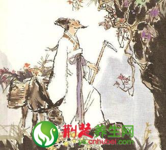 中藥車前草的美麗傳說