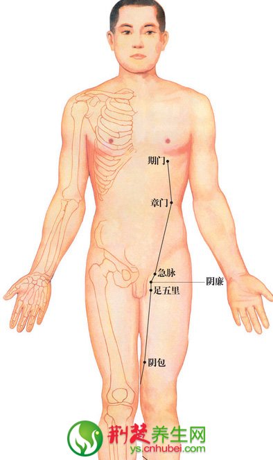 《中醫基礎理論》第五章 經絡