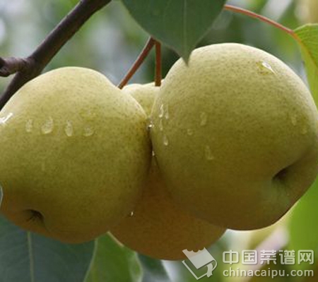 盤點冬季滋潤的水果