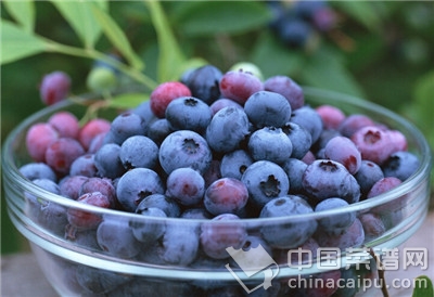 1檸檬能讓牙齒變色 這些食物越吃牙齒越黃越黑