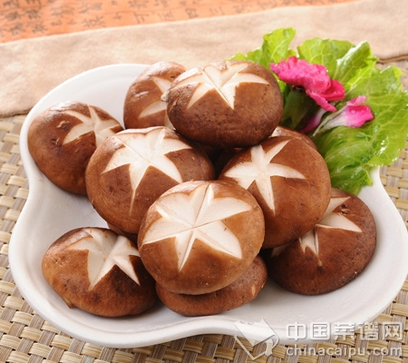 巧食蘑菇，讓營養翻倍