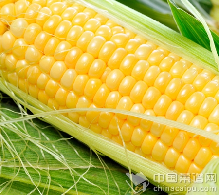 細數開胃健脾的食物