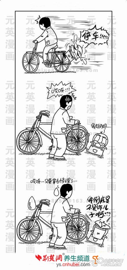 那些年咱們都坐過的自行車 80後的珍貴記憶