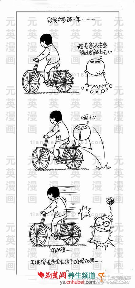那些年咱們都坐過的自行車 80後的珍貴記憶
