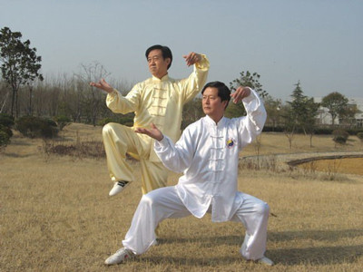 太極拳的內勁指的是什麼？