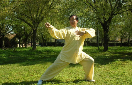 太極拳的基本手法是怎樣的？