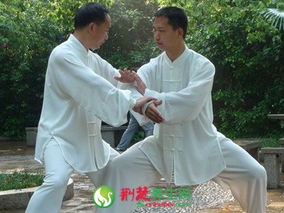 太極推手入門