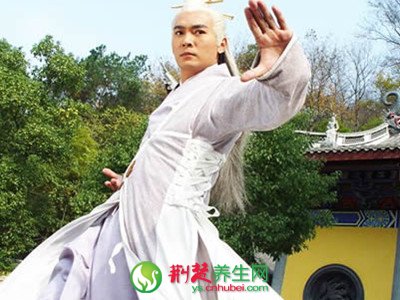 武當太極之太極十三式