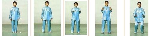 陳氏太極拳24式圖文教程