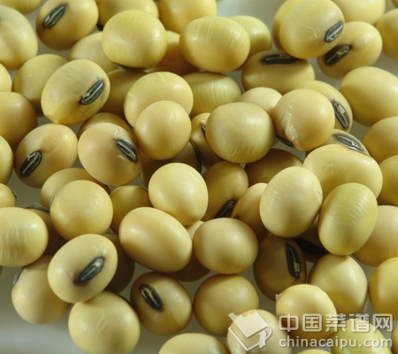 年過40必備食物