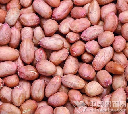 飯後<a href=http://www.daocaipu.com/yangsheng/ target=_blank class=infotextkey>養生</a>必吃的五種零食