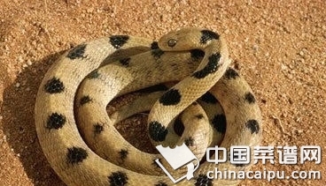 25個<a href=http://www.daocaipu.com/yangsheng/ target=_blank class=infotextkey>養生</a>傳言  你信了嗎？