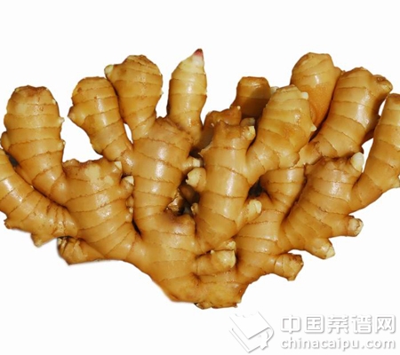 幫你緩解換季過敏的食物