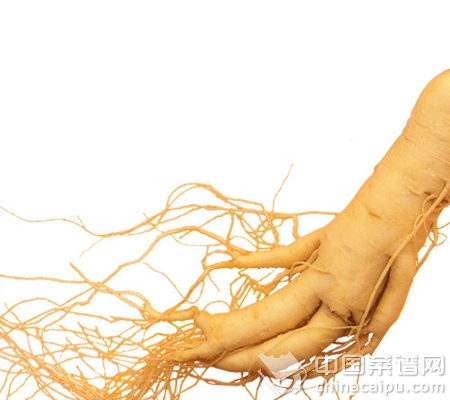 不同體質進補原則