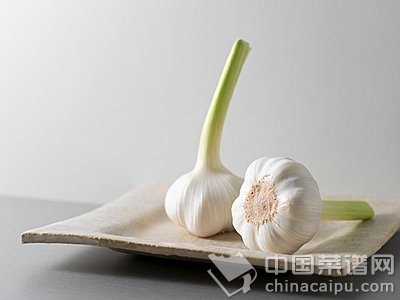 黃瓜冬瓜