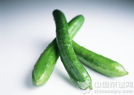 黃瓜冬瓜