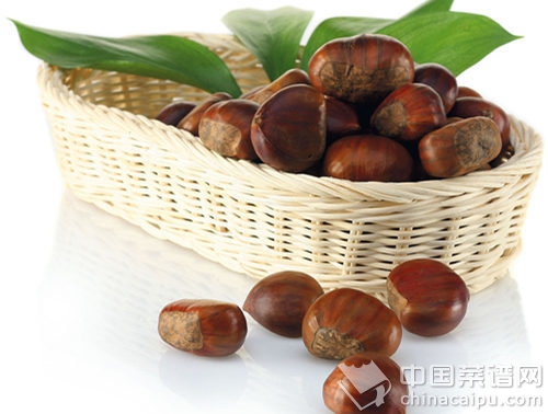 乾燥的秋天,你應該吃這七種食物