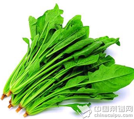 秋季滋補的蔬果