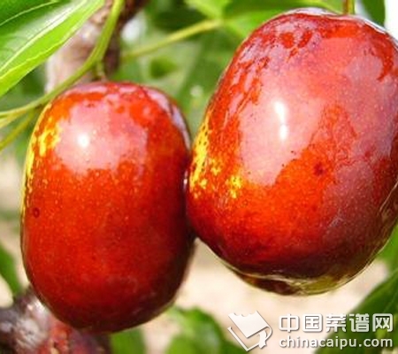 秋季滋補的蔬果