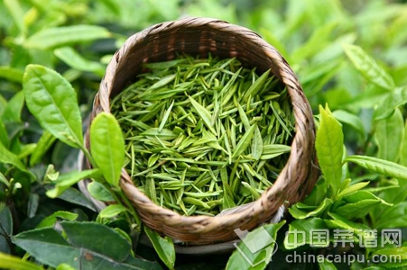 如何治療前列腺炎？注意飲食少吃藥