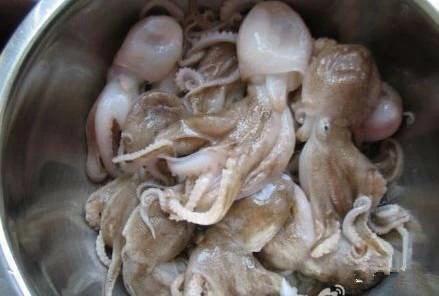 史上最全海鮮大全，以後不怕不認識海鮮了